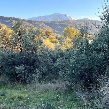 Achaia